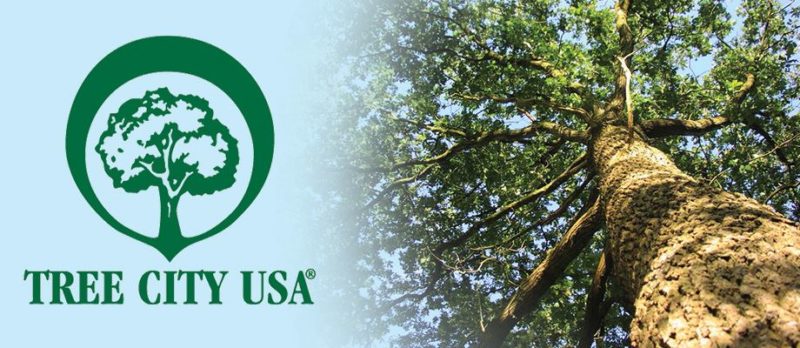 Tree City USA - Parks and Trees - Public Works - City of Fond du Lac