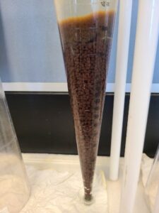granules